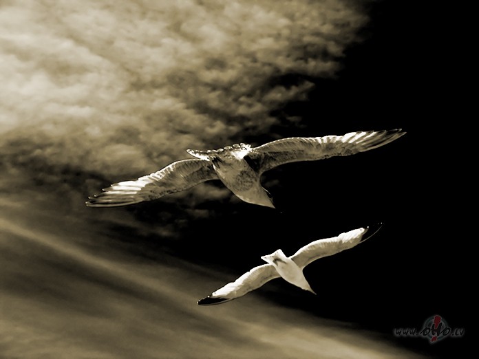 Lidojumam nelabv�l�gs laiks...