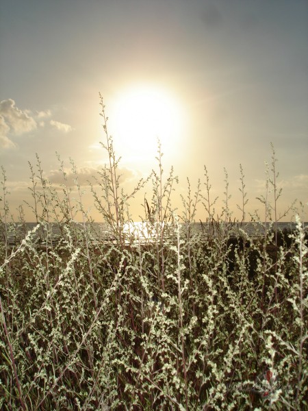 Labv�l�bu izstaro tie, kuros m�t visaugst�kais tikums. Neparasts ...