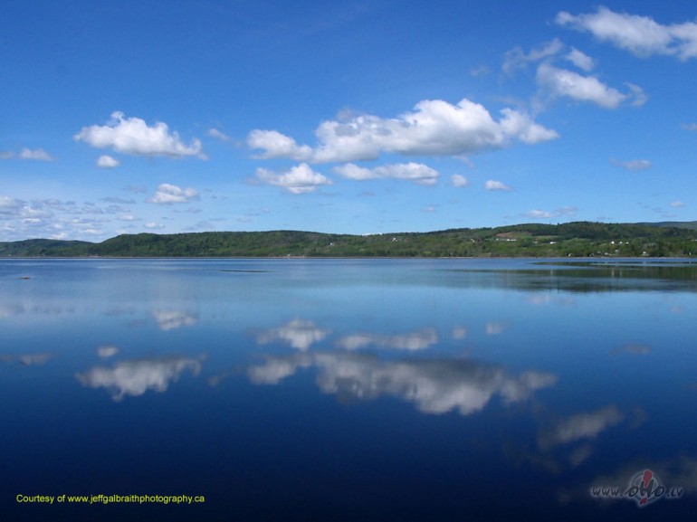 Non�c �ai viet�,kur debesis ziedKur v�ji nep��un auksti kur navNon�c ...