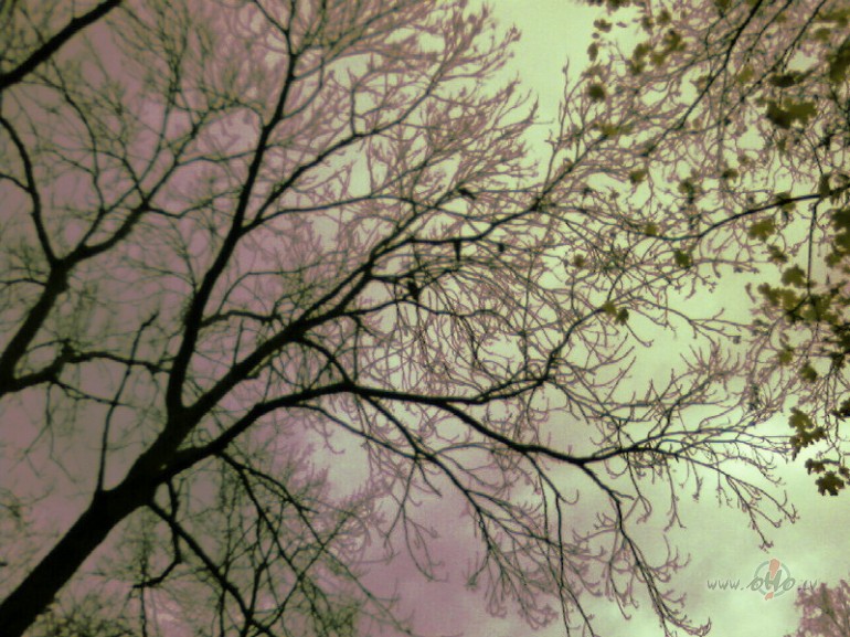 Debesis zilas, m�ko�i balti,Lietus tik skum�gi l�st.
Debes�s zil�s, ...