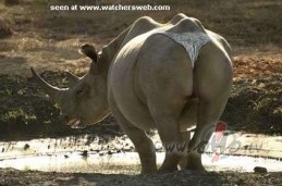 Ko labu man teikt par �odienas ekonomiku......
iedom�jieties gar�s ...