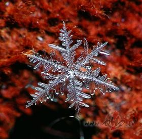 T� priec�tiespar saulesstaru debes�sun sev�ierakst�t to prastpar ...