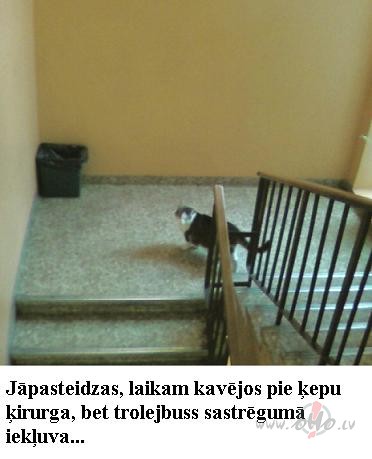 Vesel�bas centr� 4 dz�vo ka�is.�odien vi�u fotograf�ju re�l� vid�:)))