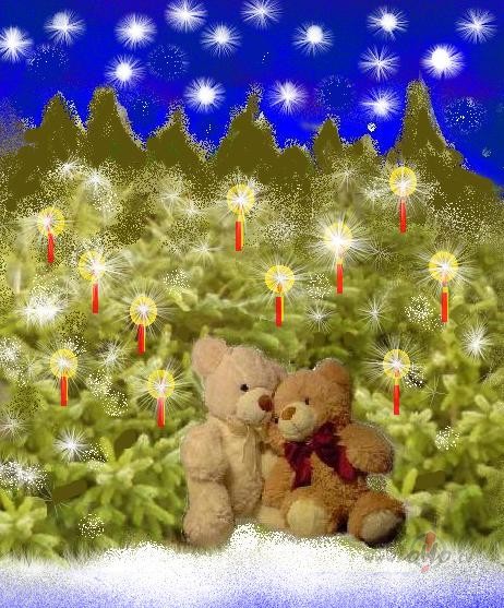 Vi�i kop� sagaid�s Ziemassv�tkus:))