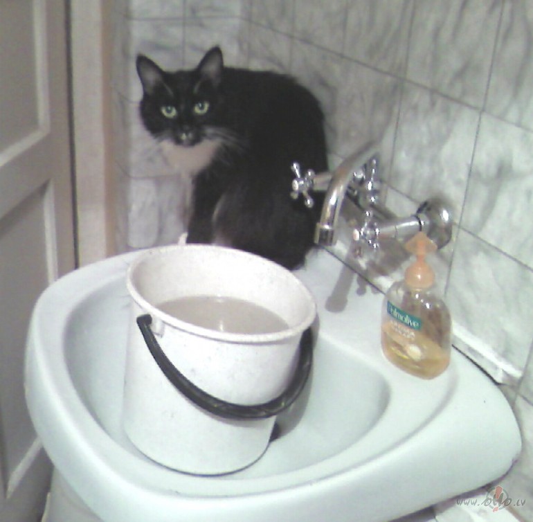 K�, vai tad tas nav mans jaunais �dens trauci��?:)))