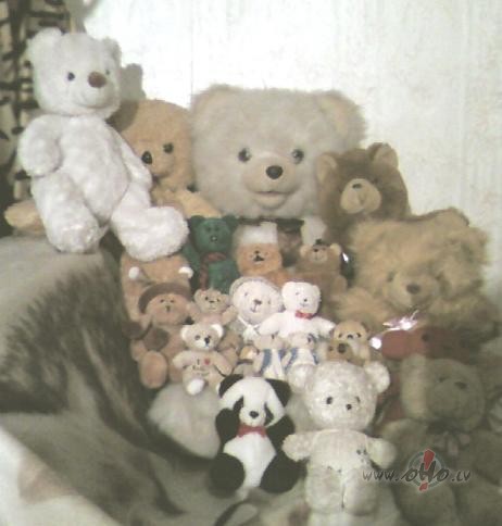 Un te ir visi mani l��i, kuri piekrita fotograf�ties. Begodils ...