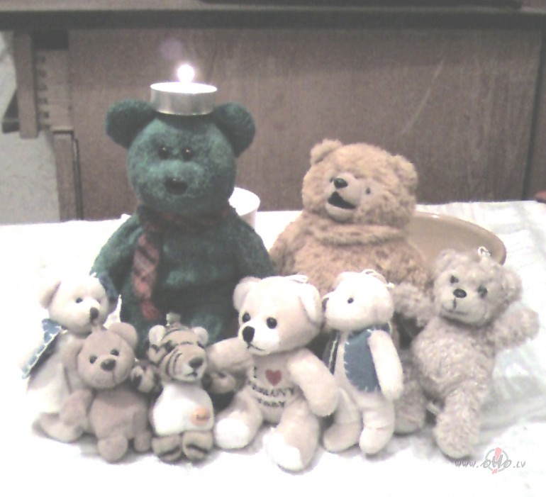 Ziemassv�tki ir kl�t! Viens l�dzek�u taup��anas nol�kos ir iecelts ...