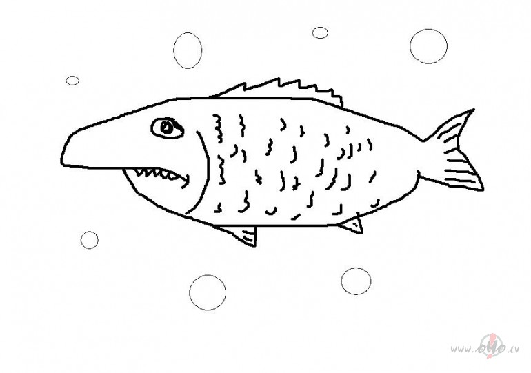 Izdom�ju cept foreli m�kl�. Daudz, dom�ju, viens neap�d��u - pietiks ...