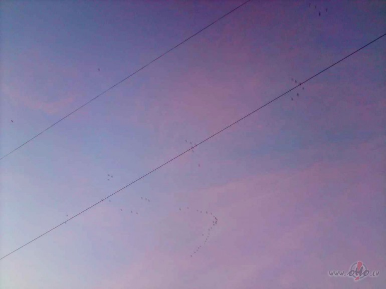 G�jputni laid�s uz kaut kurieni �ovakar...