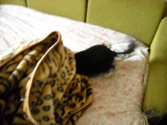 Vai nu t� vajadz�ja:))