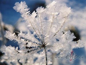 &nbsp; R�t jau p�d�j� �� gada diena- t� saukt� Vecgada diena!Laici�� ...