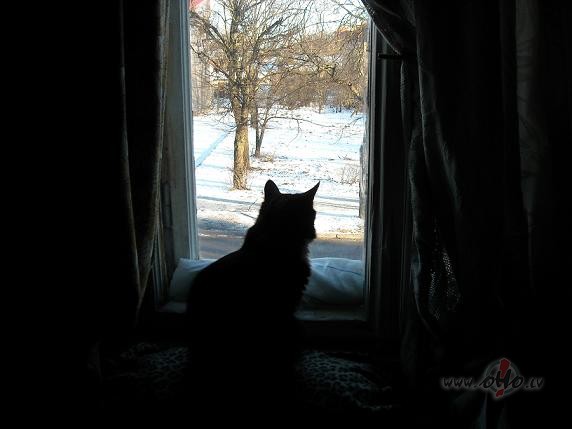 2009.gada 1.janv�ra r�ts...