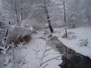 &nbsp;&nbsp; Nu Jaunais atn�cis ar pamat�gu sniega segu! Koki apkl�ti ...