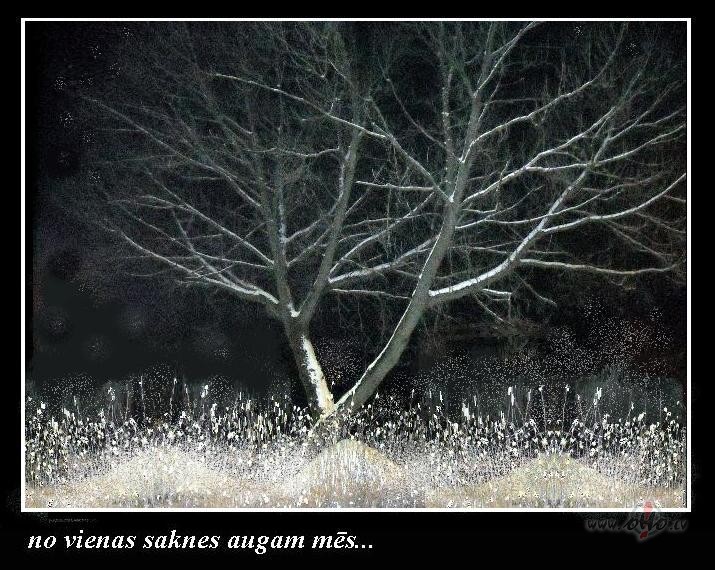 Visu labu l�dz naktij:))