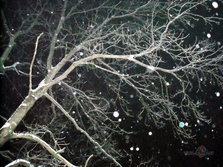 Nesamazinot izm�rus, nevar ievietot...samazinot izm�rus, ieiet...