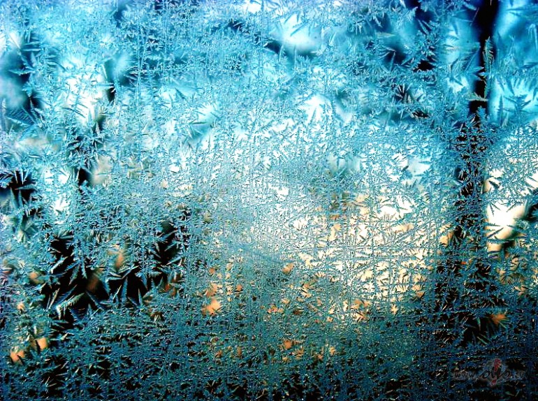 Leduspu�es uz mana loga...