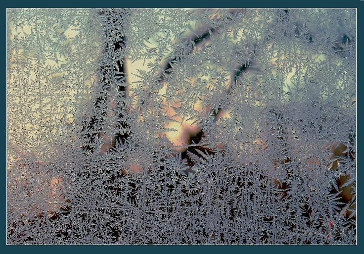 Nez kad atkal man izdosies k�du leduspu�i log� sagaid�t? Aizvakar ...