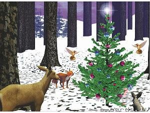 &nbsp;Ak, ziema, ziemi�a! Sniega ziedos balts ir viss.Parslas lido ...