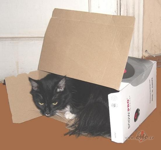 Pluksa deklar�ja sev jaunu dz�vesvietu:))