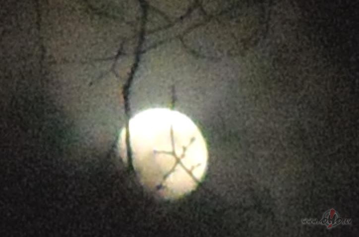 Neiedom�jami agrs, j�iet beidzot gul�t:)))