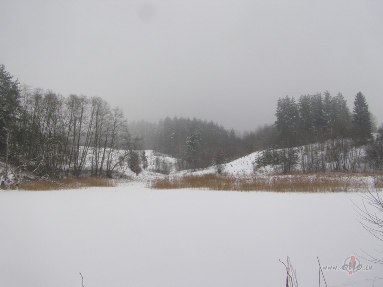 ogad ziemai vienmubu gan nevar prmest.  Vl vakar vakar ...