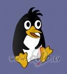 Ek,dz�ve dz�v�te- dzimumce�� ieg�ta slim�ba&nbsp; un t�s mirst�bas ...