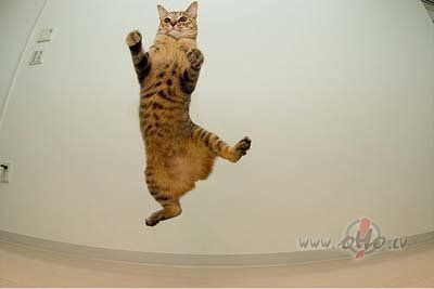 &nbsp;Saka, ka smaids dz�v� ir&nbsp; pats galvenais. Smaids ...