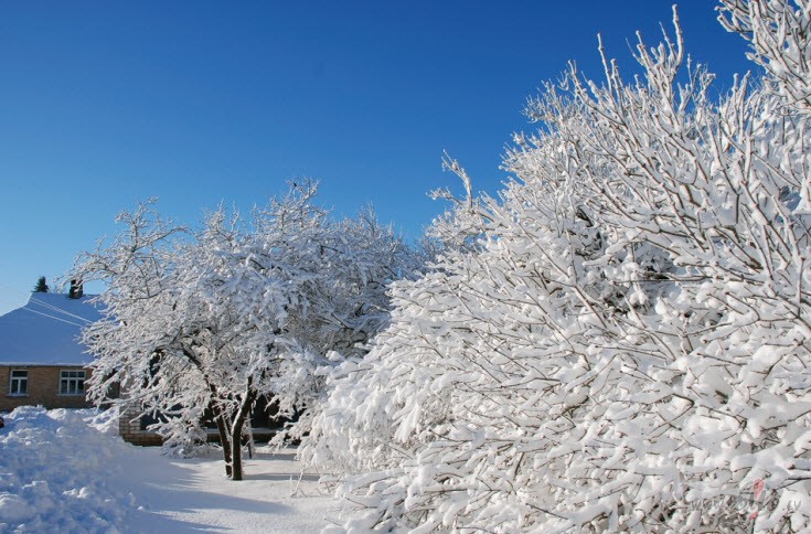 Cik balti balta saule r�tos lec,


Tik t�ri balti gribu dz�vot ...