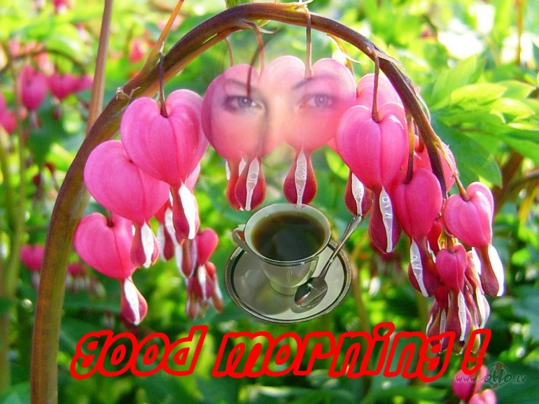 Tava �da k� z�ds.


Tavas domas k� m�ts.


Tav� sej� mirdz ...