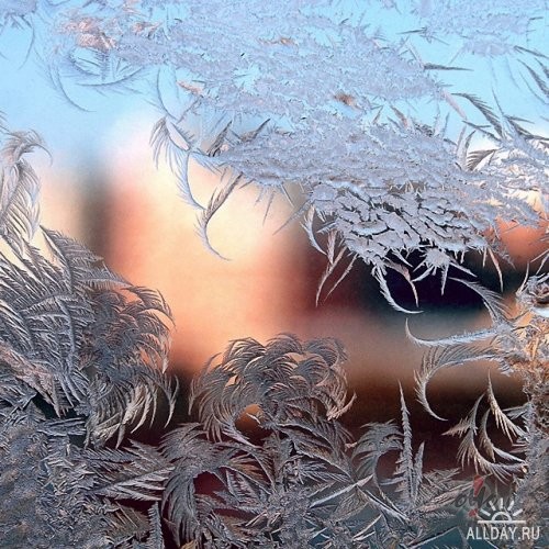 Lai log� leduspu�es zied,Lai zaro,st�dz un aug�up vijas,Tik sap�us ...