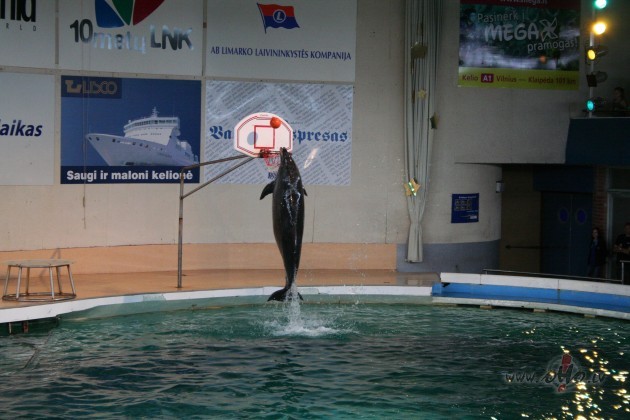 �odien man der�tu k�ds p�rst�vis no Marsa ....lai iztulko sava ...