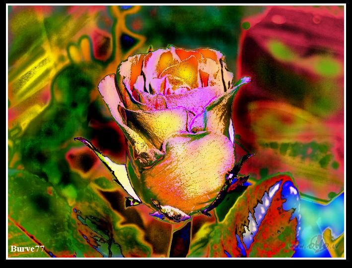 NEPR�T�G� KARALIENE