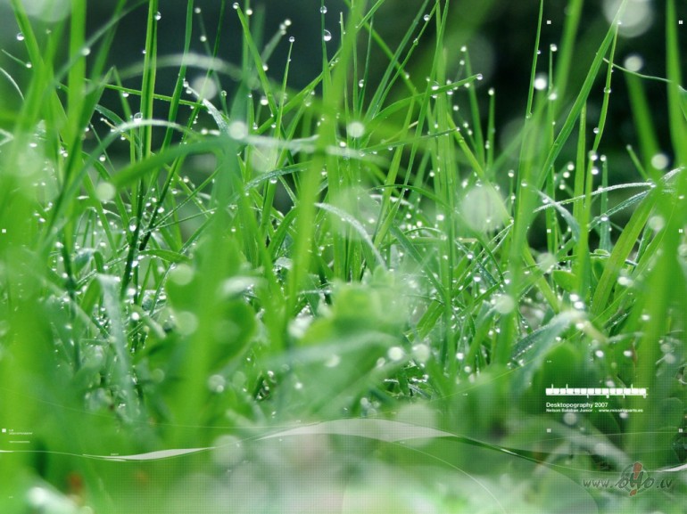 Es vienm�r redz��u,kad pavasaris n�k,Vispirms tas ac�s tav�spatv�rumu ...