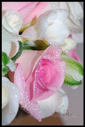 :)))Paldies!Paldies ar� k�dai klusai pel�tei!:)man pat�k t�,t� ...