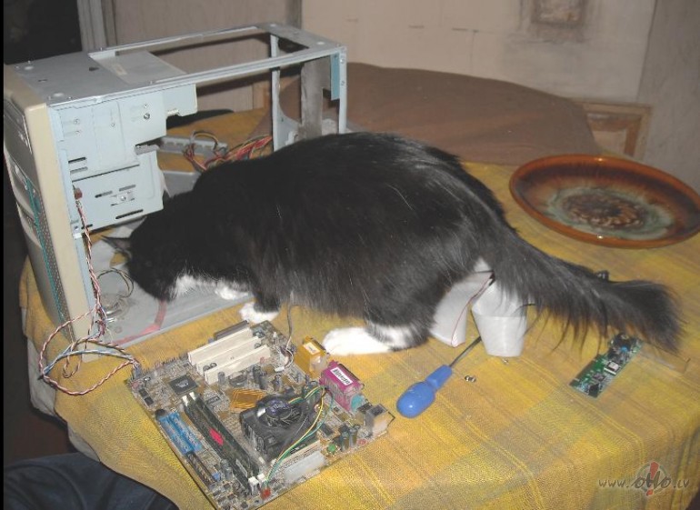 Es te kaut kur redz�ju m�tes plati...