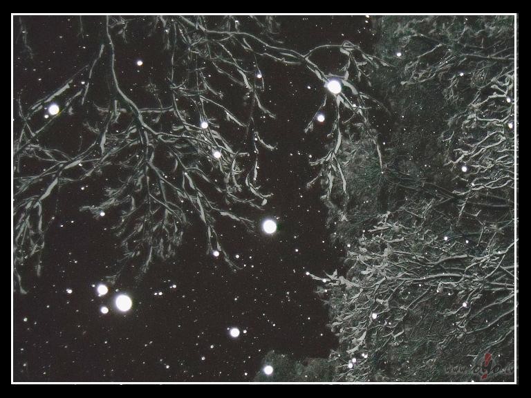 un te v�l viena ziema...