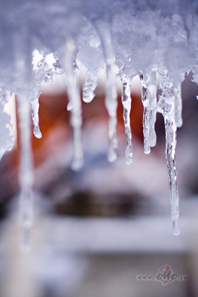 Ir atkal viena ziema gal�,
Un pavasaris viet� n�k,
Ar jautr�m sap�u ...