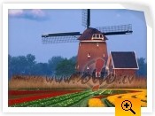 HOLANDE MAIJA SV�TKOSValsts: N�derlandeDatums: 30.04.2009.Cena: 225 ...