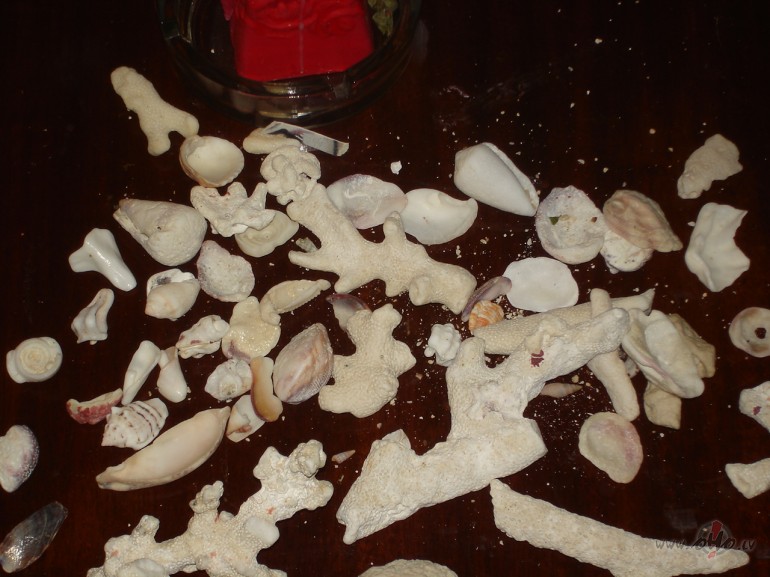 K� b�tu, ja nesavt�gi laipni darbi k��tu par dz�vesveidu ? Varb�t tam ...