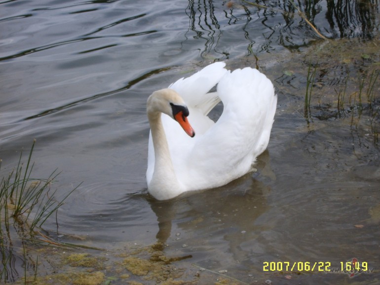 ........vai to var uzskat�t par r�d�jumu..
ka jau varu ilgsto�ai ...