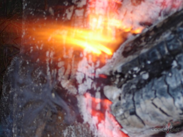 Kam miegs kav�jas ? Piem�ram, man, jo �� azartiski fiks� kopsaie�anas ...