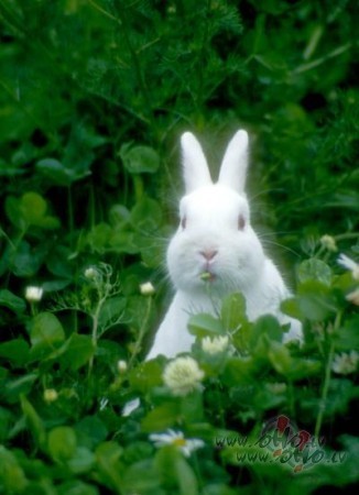 Beautiful Sunday ...P�polsv�tdien�:))