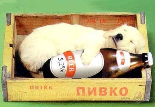 Ja tagad ir slikti, ir cer�ba, ka b�s labi:))Mans �is dienas ...