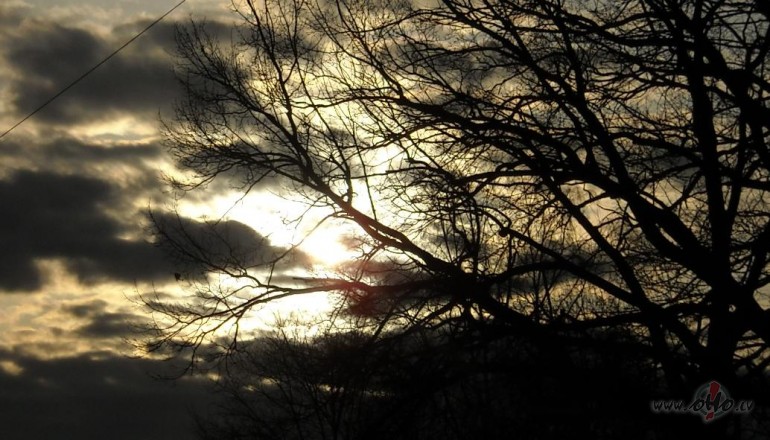  Nakts sap�u dzejolis