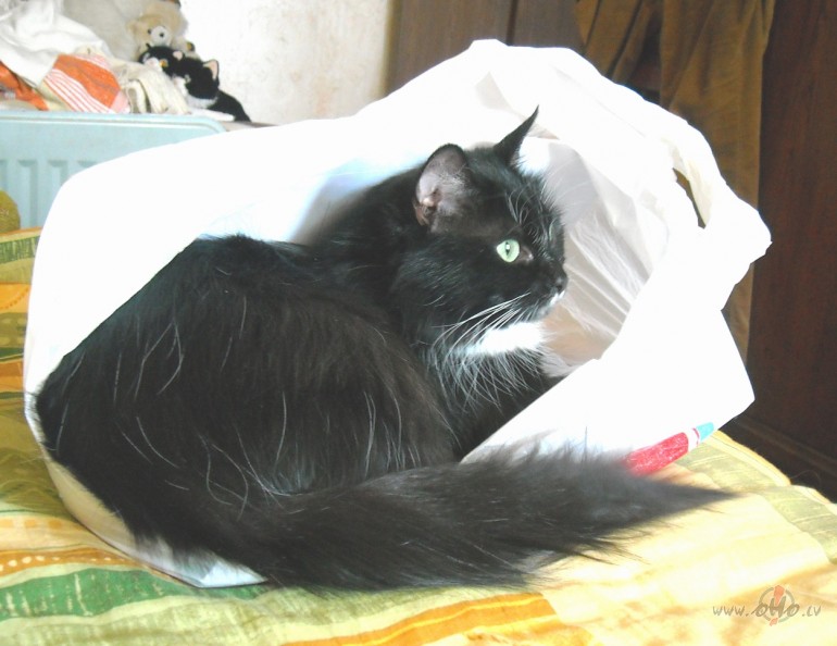 Sp�les rezult�ts iiiiiir:)) 