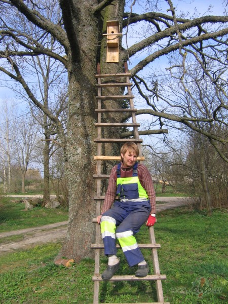 Jau no pa�as b�rn�bas esmu&nbsp;vienm�r zin�jusi,ka pavasar� ir ...