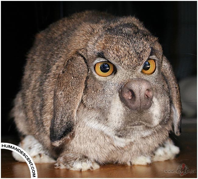 Jauks ir viss, kas dz�vi dz�vu dara:))