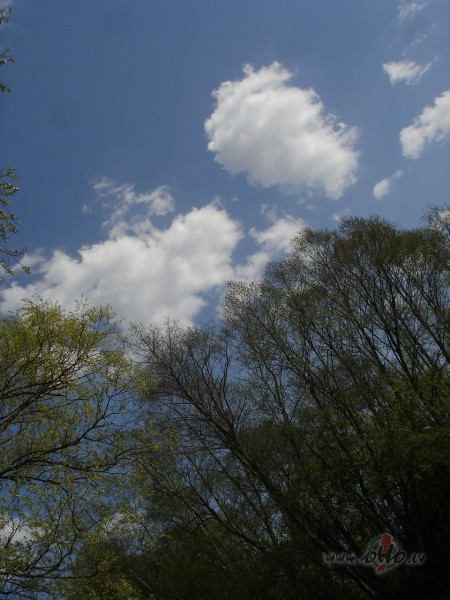 Lai virs jums-mums zilo debesjums !!!!!!!!! Omul�gu novakaru :)