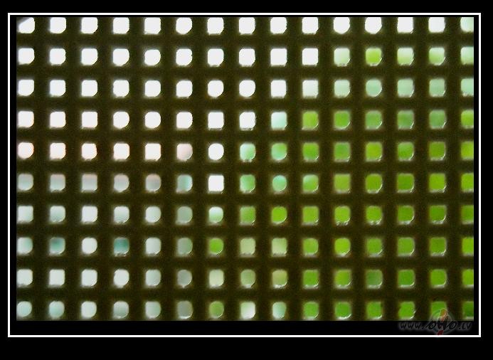 Sal�ta lapas fotogr�fija caur caurduri