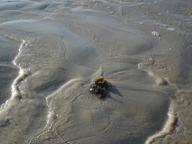 St�d�sim prieku,Rav�sim b�das.Iesim, kur acis r�da.Diedz�sim ...